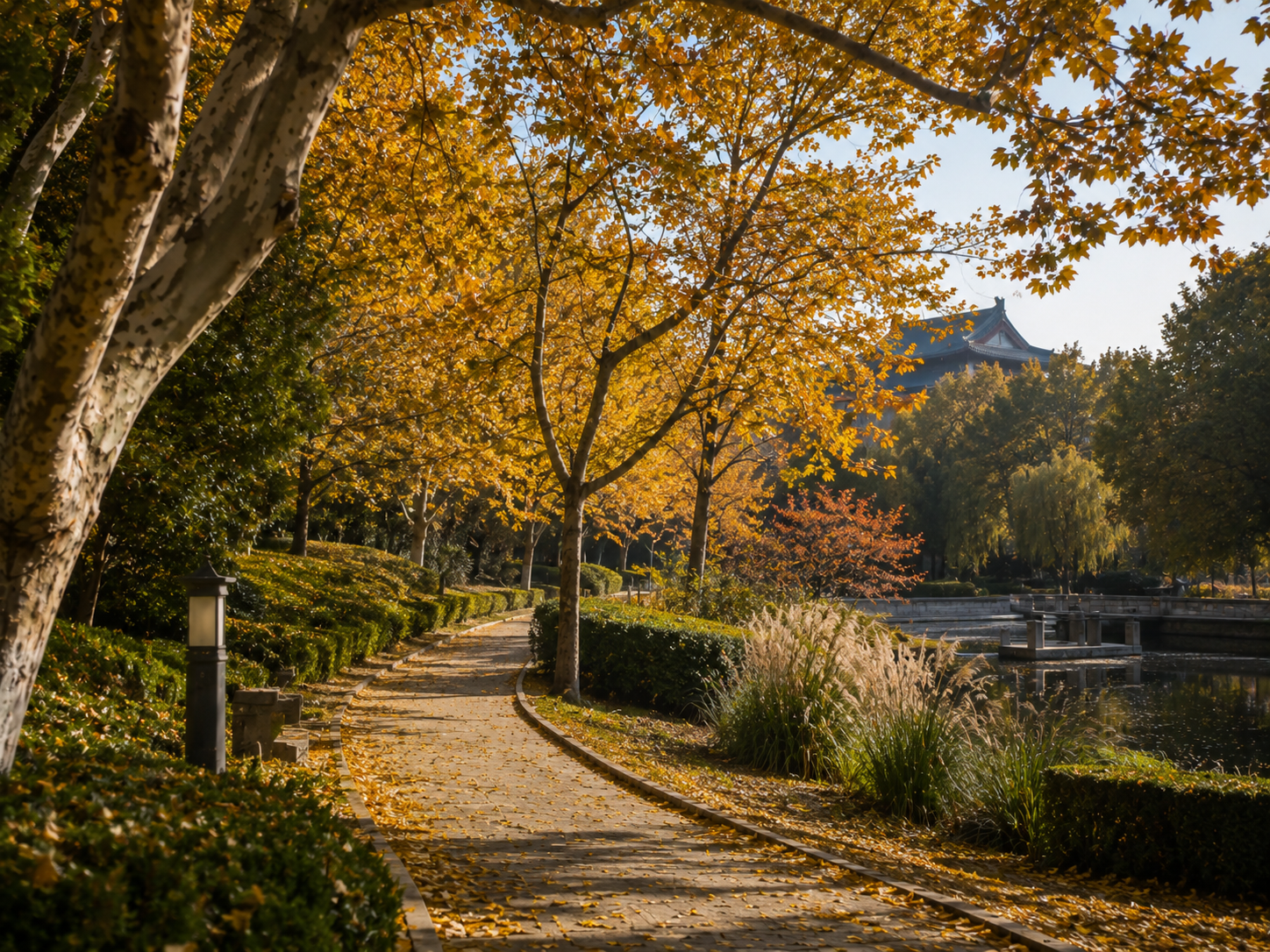 江夏大学校园秋景